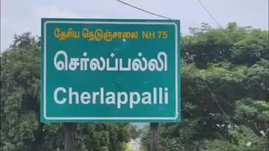 பேரணாம்பட்டு: சொர்லபல்லி பகுதியில் சிறுத்தைகள் தாக்கி 3 ஆடுகள் பலி விவசாயிகள் அச்சம் வனத்துறையினர் விசாரணை