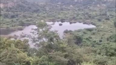 பேரணாம்பட்டு: சாத்கர் வனப்பகுதியில் தனியாருக்கு சொந்தமான வனப்பகுதியில் அழுகிய நிலையில் 3 யானைகள் சடலம் எலும்பு கூடாக கண்டெடுப்பு