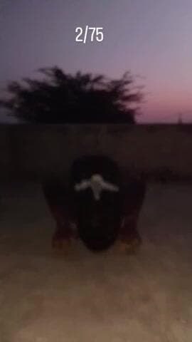 ब्रह्मचारी पालन का दूसरा दिन#fitnessjourney #virelvideo#healthtips#