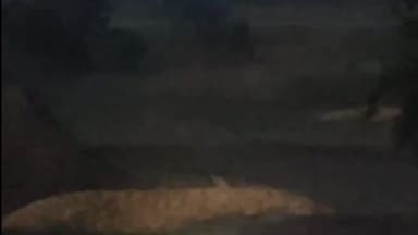 सिल्लोड: अंधारवाडी येथे बिबट्याच्या हल्ल्यात बोकड ठार तर आठ वर्षाची चिमुकली थोडक्यात बचावली