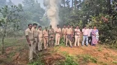 ଛେଣ୍ଡିପଦା: ଛେଣ୍ଡିପଦା ଜରପଡା ଥାନା ଅଞ୍ଚଳରେ ବ୍ୟାପକ ଗଞ୍ଜେଇ ଚାଷ ନଷ୍ଟ କଲା ପୋଲିସ