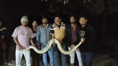 મહુવા: ખરવાણ જોષી મહોલ્લામાં ગટર લાઈનમાંથી 9 ફૂટ લાંબો અજગર પકડાયો.