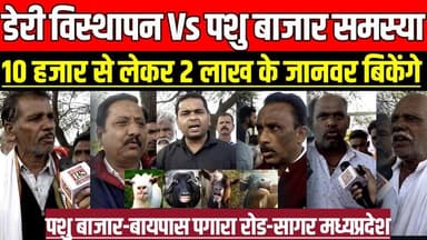 सागर में डेरी विस्थापन Vs पशु बाजार समस्या, अब यहां 10 हजार से लेकर 2 लाख के जानवर बिकेंगे!
#SagarNews #MadhyaPradeshNe...