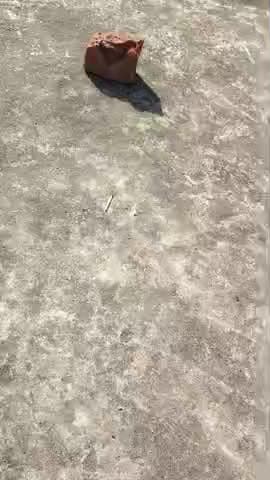 Kanpur video@#j k gicgicjocful. byzf