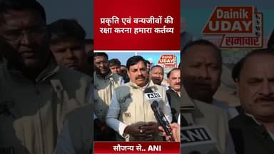 कूनो नेशनल पार्क को लेकर प्रदेश के मुखिया मोहन यादव का बड़ा बयान #bignews #bhajpa