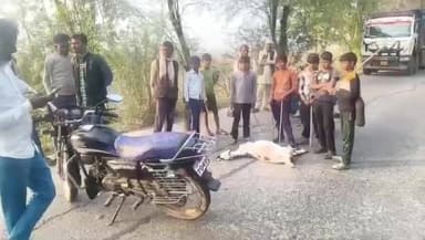 कालपी: कदौरा थाना क्षेत्र में बड़ागांव रोड पर तेज रफ्तार ट्रक की टक्कर से बकरी की मौत, गुस्साए ग्रामीणों ने सड़क पर लगाया जाम