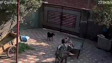 ਤਰਨਤਾਰਨ: ਪਿੰਡ ਨਾਗੋਕੇ ਵਿਖੇ ਦਿਉਰ ਨੇ ਭਾਬੀ ਤੇ ਕੀਤਾ ਤੇਜ਼ਧਾਰ ਹਥਿਆਰ ਨਾਲ ਜਾਨਲੇਵਾ ਹਮਲਾ,ਵਾਰਦਾਤ cctv ਕੈਮਰੇ ਵਿੱਚ ਕੈਦ,