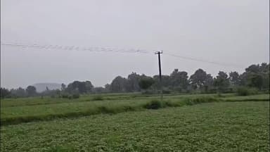 சங்கராபுரம்: கானாங்காடு கிராமத்தில் உள்ள விவசாய நிலத்தில் மின் வேலியில் சிக்கி விவசாயி உயிரிழப்பு