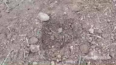 ಹನೂರು: ಕಾಂಚಳ್ಳಿ ತೋಟದಲ್ಲಿ ಚಿರತೆ ಪ್ರತ್ಯಕ್ಷ- ನಾಯಿಗಳ ಬೊಗಳಾಟಕ್ಕೆ ಪೇರಿ