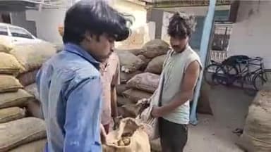 फर्रुखाबाद: एशिया की सबसे बड़ी सातनपुर आलू मंडी में करीब 10,000 पैकेट आलू की हुई आवक, आलू का भाव ₹401-511 प्रति पैकेट रहा