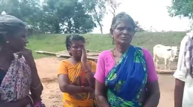 ஆவுடையார் கோவில்: பாண்டி பத்திரம் கிராமத்தில் தொடர்ந்து ஆடுகள் திருடப்படுவதால் கிராமத்தினர் கவலை நடவடிக்கை எடுக்க கோரிக்கை