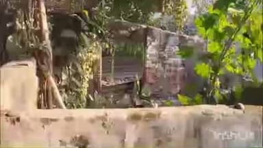 पलिया: पलिया नगर के माल गोदाम रोड पर स्थित हनुमान मंदिर की भूमि पर एक विशेष समुदाय का दबंग कर रहा अवैध कब्जा, वीडियो हुआ वायरल