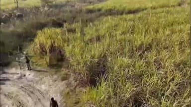 पीलीभीत: हजारा थाना क्षेत्र में पुलिस और आबकारी विभाग की टीम ने कच्ची शराब ढूंढने के लिए चलाया अभियान