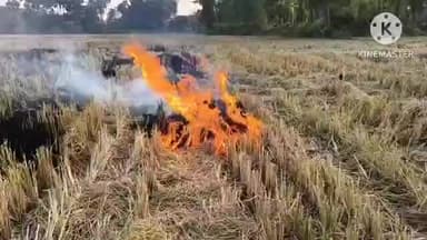জয়পুর: রাউতখন্ড মাঠে নারা পুরানোর আগুন থেকে কাটা ধানে আগুন,পুড়ে ছাই ধান,ফসল হারিয়ে কান্নায় ভাসছেন কৃষক