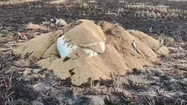 দাঁতন ২: দাঁতনে নাড়া পোড়ানোর আগুনে ফসল পুড়ে সর্বস্বান্ত হল এক কৃষক!