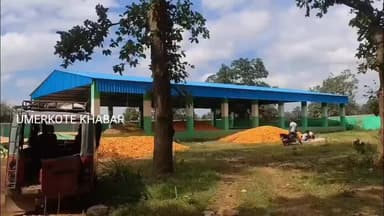 ଉମରକୋଟ: ମକା ଚାଷୀଙ୍କ ଅଭାବୀ ବିକ୍ରି : ଚାଷୀ ହନ୍ତସନ୍ତ ଦଲାଲ ମାଲେମାଲ