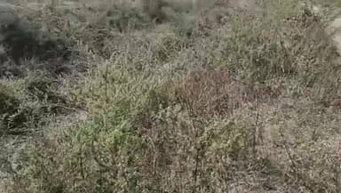 भडगाव: उजव्या कालव्याचा पाटचाऱ्या दुरुस्तीच्या कामांना सुरवात, अशोक परदेशी यांचे निवेदनाची दखल,