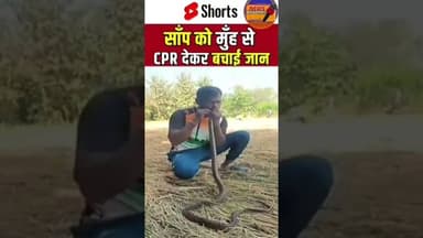 गुजरात के वलसाड इलाके में एक युवा ने सांप को दिया सीपीआर #वायरसवीडियो #गुजरात #वलसाड #स्नेक