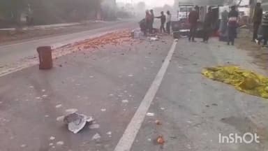 जलालाबाद: सुगसुगी मोड पर सांड से टकराकर पिकअप पलटी, टमाटर सड़क पर बिखरे, वीडियो सोशल मीडिया पर वायरल