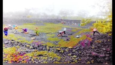 ग्राम खपरीतेली में होरीलाल की भूमि पर बनी डबरी से सिंचाई का स्थायी समाधान