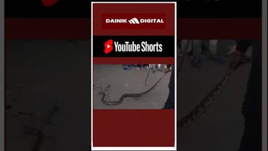 पिछरी बस्ती में निकला अजगर सांप, मची अफरातफरी #shorts #snake #news #bokaro #jharkhand #latestnews