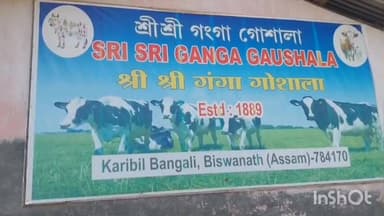 হেলেম: গহপুৰৰ গংগা গৌ-শালাত পশুধনৰ বিলৈ,
খাদ্যৰ অভাৱত মৃত্যু মুখত পৰিছে পশুধন, পৰিচালনা কৰ্মীৰ প্ৰতিক্ৰিয়া