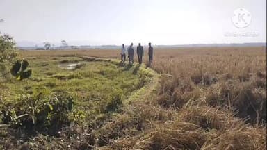 নাজিৰা: নাজিৰাৰ তিনিটাকৈ ঐতিহাসিক সম্পদ পৰিদৰ্শন সংগ্ৰামী সেনা অসমৰ কেন্দ্ৰীয় সমিতিৰ