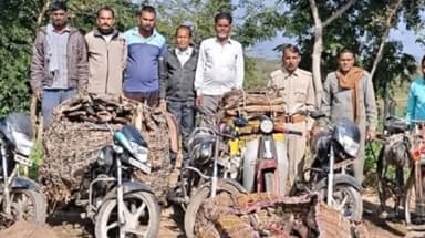 मगरोनी वन विभाग ने जंगल की लकड़ी से भरी 7 बाइक सहित दो साईकिलो को किया जप्त #insideshivpuri