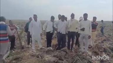 बिजनौर: बिजनौर के खादर इलाके में वन विभाग की संपत्ति में खड़े हजारों पेड़ों को भूमाफियाओं ने किया नष्ट