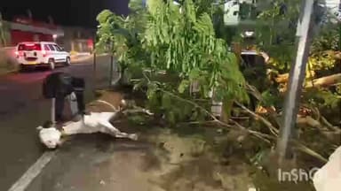 କେନ୍ଦ୍ରାପଡା: ଚାନ୍ଦୋଳ କଳିଙ୍ଗ ସ୍କୁଲ ନିକଟରେ ଭରଶ୍ୟାମ ହରାଇ ଓଲଟିଲା ପିକଅପ୍ ଭ୍ୟାନ