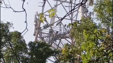 మహదేవ్పూర్: మహాదేవపూర్ లో తాగిన మైకంలో టవర్ ఎక్కి యువకుడి హల్చల్...సముదాయించి ఠాణాకు తరలించిన పోలీసులు