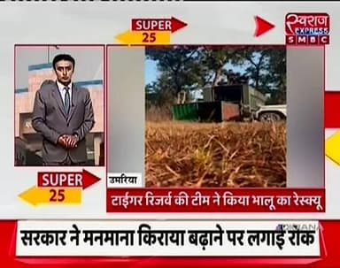 मानपुर नगर में भालू
#umarianews #bandhvgdh