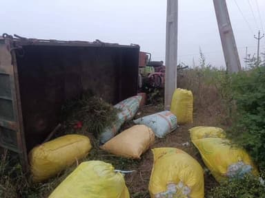 చింతలపాలెం: చింతలపాలెంలో పత్తి కూలీల ట్రాక్టర్ బోల్తా: 15 మందికి తీవ్ర గాయాలు