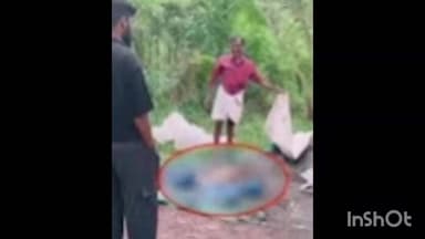 കൊയിലാണ്ടി: വാകയാട് വീട്ടുമുറ്റത്ത് നിൽക്കവെ യുവാക്കളെ കുറുക്കൻ കടിച്ചു, കുറുക്കനെ നാട്ടുകാർ തല്ലിക്കൊന്നു