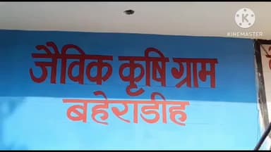 जांजगीर: राज्य स्तरीय 'भाजी महोत्सव' को लेकर महिलाओं में उत्साह, 10 दिसंबर को किसान स्कूल बहेराडीह में भाजियों की प्रदर्शनी लगेगी