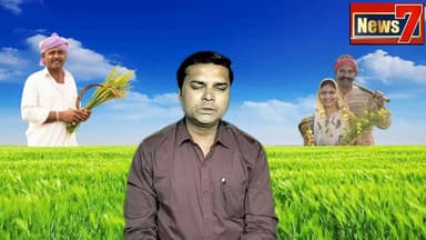 #news गंगापुर सिटी अनाज मंडी के भाव #gangapurcity #anajmandi