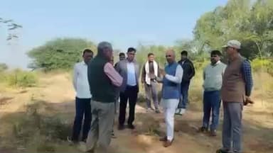 कैबिनेट मंत्री कन्हैया लाल चौधरी ने टोडारायसिंह वन क्षेत्र में लगाए गए पौधों का किया निरीक्षण