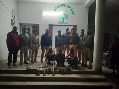 बैकुंठपुर: कोरिया वन मंडल के बैकुंठपुर परिक्षेत्र में साही को मारकर खाने की तैयारी कर रहे 3 आरोपियों को पकड़ा गया, जेल भेजा गया