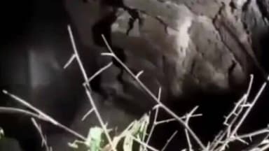 ଅନୁଗୋଳ: ନରେନ୍ଦ୍ରପୂର ଗ୍ରାମ ନିକଟରେ ଖୋଲା କୂଅରେ ପଡିଲା ହାତୀ ଛୁଆ; ଉଦ୍ଧାର କଲା ବନ ବିଭାଗ