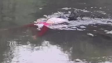 વડોદરા પૂર્વ: વિશ્વામિત્રીમાંથી મળેલી યુવતીની લાશ ઓળખાઇ, મગરે હુમલો કરતાં મોત