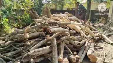 ରାସଗୋବିନ୍ଦପୁର: ବଡାମପୁର ଠାରେ ଚଢାଉକରି ବିପୁଳ ପରିମାଣର ଜାଳେଣିକାଠ ଜବତ ପୂର୍ବକ ମାମଲା ରୁଜୁକଲା ବନବିଭାଗ