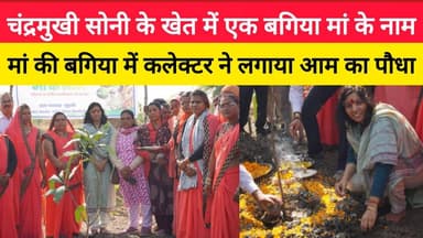 मां की बगिया में कलेक्टर ने लगाया आम का पौधा.#LocalNews #SeoniNews #seoni #viralvide #CMMadhyaPradesh #2025reels #LocalN...