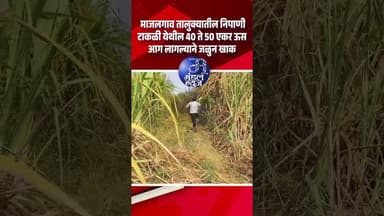 माजलगाव तालुक्यातील निपाणी टाकळी येथील 40 ते 50 एकर ऊस आग लागल्याने जळुन #beed #latestnews