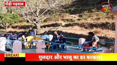 #पौड़ी :-गुलदार और भालू ने खाली कराया स्कूल, अब गांव के बीच पंचायत भवन में चलेगा स्कूल
पौड़ी गढ़वाल कल्जीखाल के ग्राम डां...