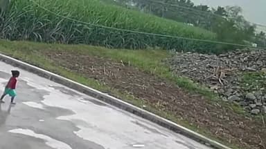 சின்ன சேலம்: நயினார்பாளையத்தில் மாயமான ஒரு நாள் முழுவதும் சோளக்காட்டில் தவித்து வந்த சிறுமி பத்திரமாக மீட்பு