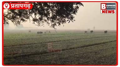 आवारा गोवंश बना किसानों की सबसे बड़ी चिंता, फसलों का हो रहा भारी नुकसान
#प्रतापगढ़ पट्टी। क्षेत्र में आवारा गोवंश किसान...