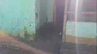 তিনিচুকীয়া: মাকুম ছোটহাপজানত ভয়ংকৰ ঘটনা, একে ঘৰৰ তিনিজন সদস্যক দাৰে আঘাত