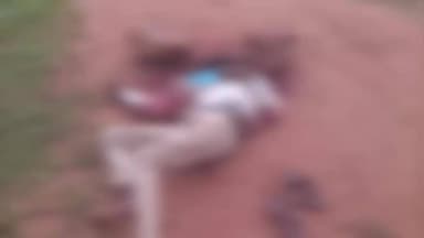 நத்தம்: நத்தம் அருகே தலையில் கல்லை போட்டு வாலிபர் படுகொலை