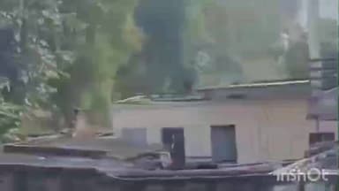 बनियापुर: कल्याणपुर में ट्रैक्टर पर सामान लोड करने के विवाद में युवक की पिटाई, घर में घुसकर तोड़फोड़