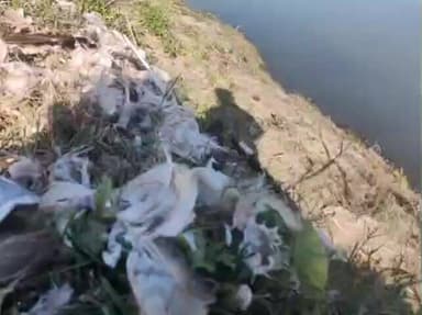 चच्योट: जिला मंडी की बल्ह घाटी की सुकेती खड्ड में प्रवासी पक्षियों के शिकार का बड़ा खुलासा, एफआईआर दर्ज; जांच शुरू